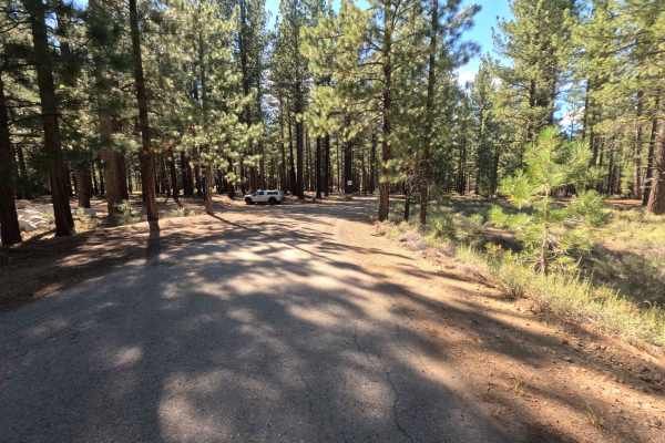 Old Fibreboard Rd - South Segment - FS 0089-034