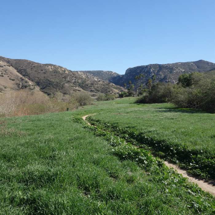 Near Coast to Crest Trail: Raptor Ridge and San Pasqual Valley