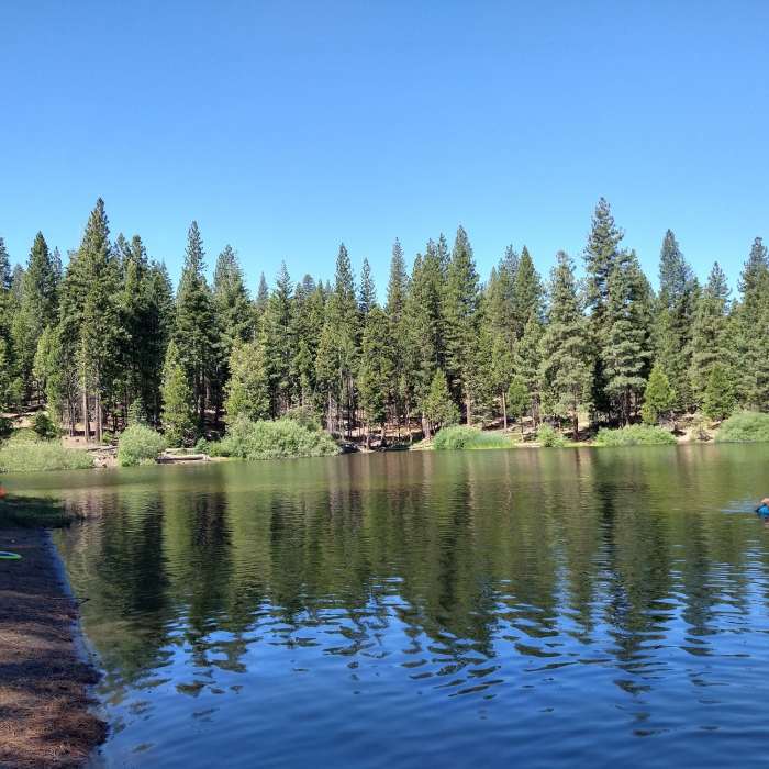 Views of the forest off the lake. Near Hume Lake Trail