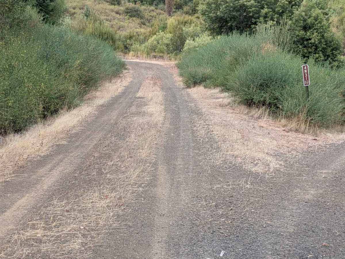Grapevine Creek Road - FS 4N20 photo 4