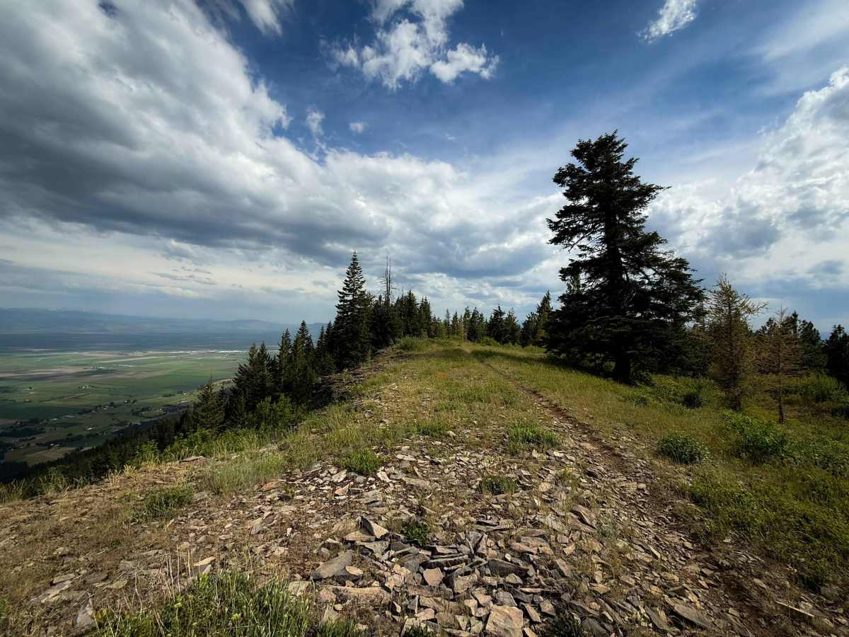 Ridgeline - Trail 320  trail photo