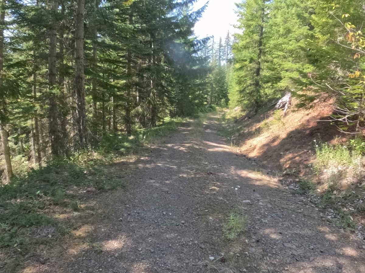 FS 2047860 trail photo
