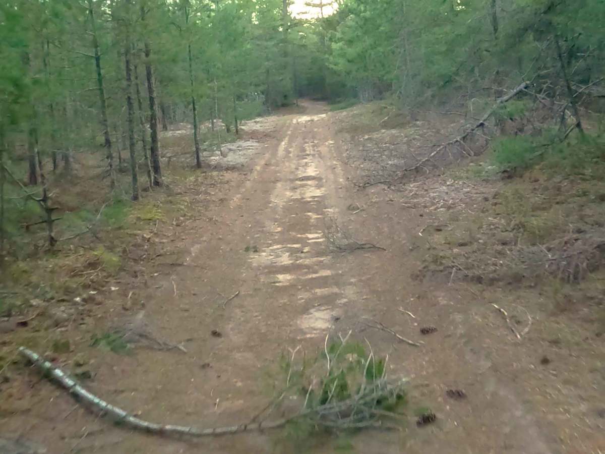  W Byrd Road photo 5