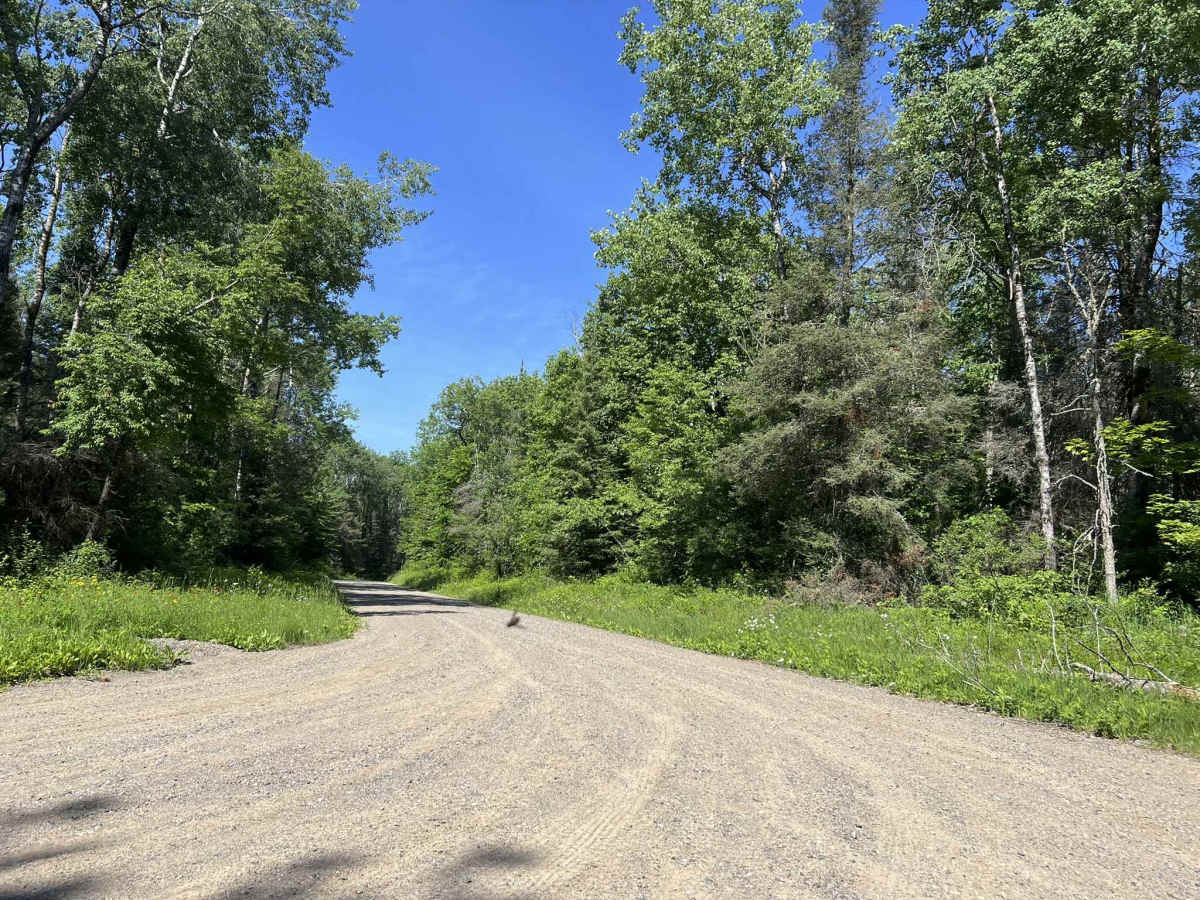 Peshtigo River Road - FS 2131 trail photo