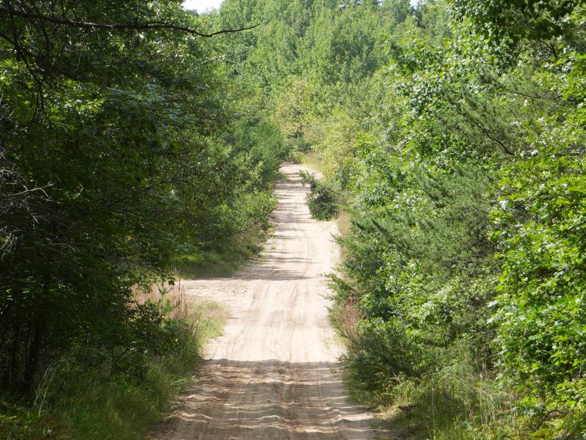 Emery Road trail photo