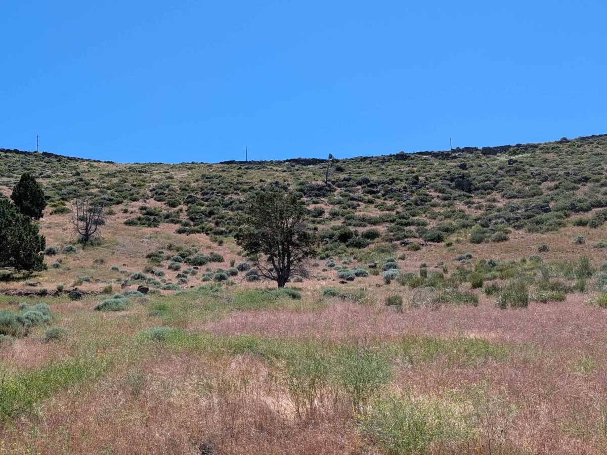 Lower Klamath Road photo 5