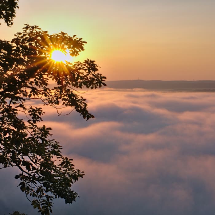 It's not often you are above the clouds in eastern Pennsylvania, but the cool Delaware River often creates a cloud inversion below the ledges of Cliff Park in the Delaware Water Gap National Recreation Area. Near Cliff Park Loop