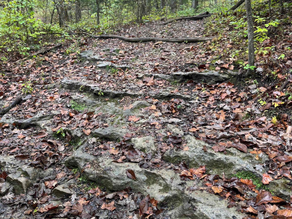 Creek Crossing photo 3