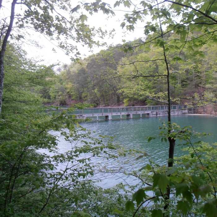 Big Ridge Dam is quite the sight! Near Big Ridge State Park Tour