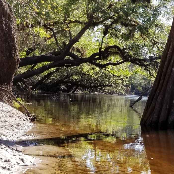 Near Econ State Forest Tour