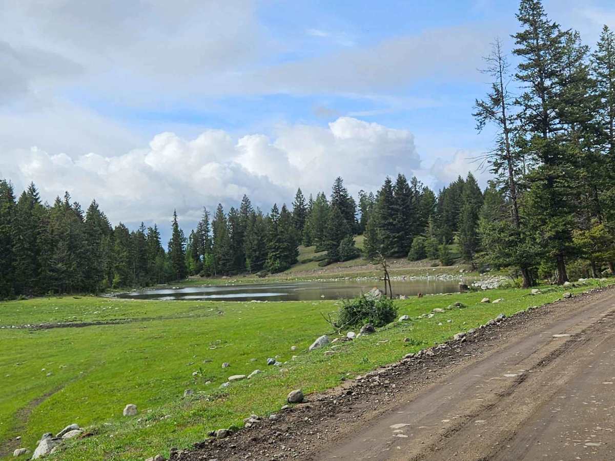 Scuitto Lake Road photo 5