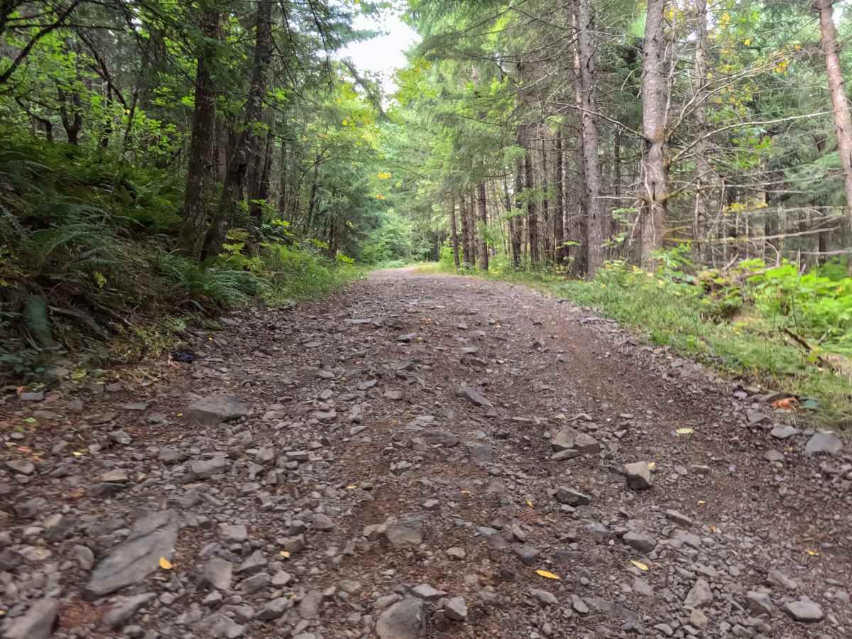 Carson Creek Road photo 2