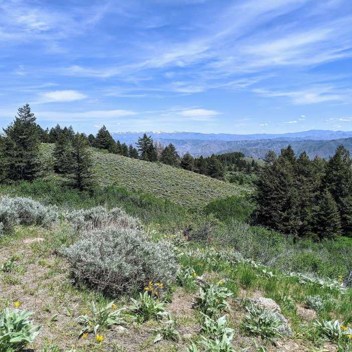 Near Adelmann Mine and Lucky Peak