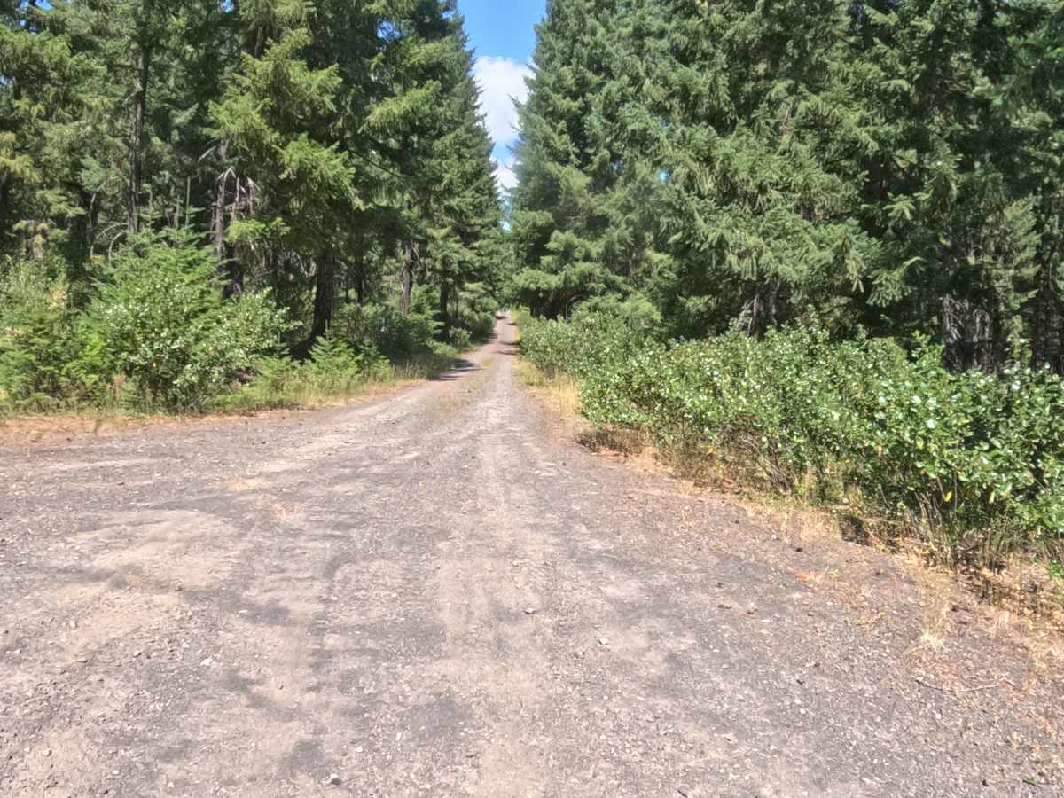 FS 2067527 photo 5