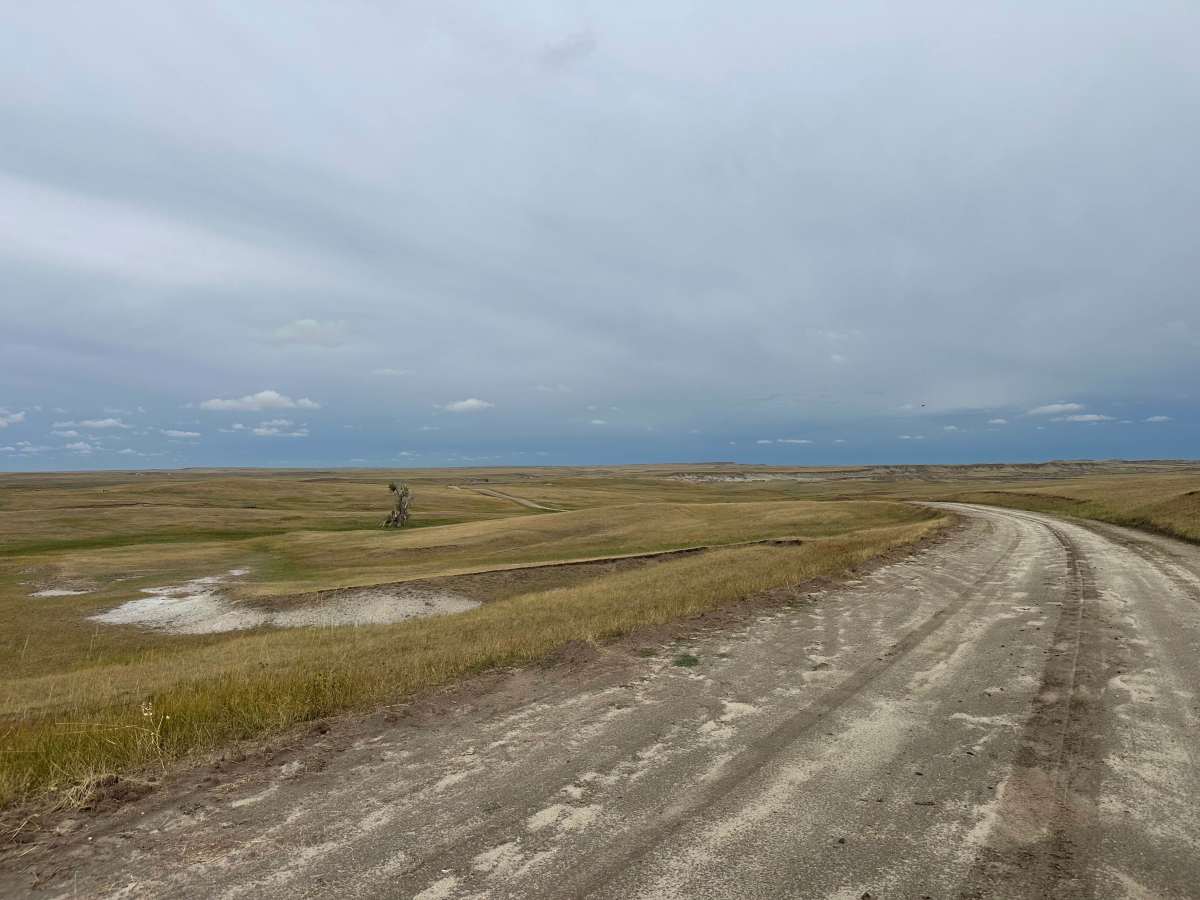 Orella Road photo 4