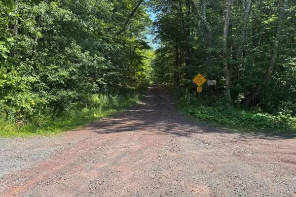 Bluebird Road