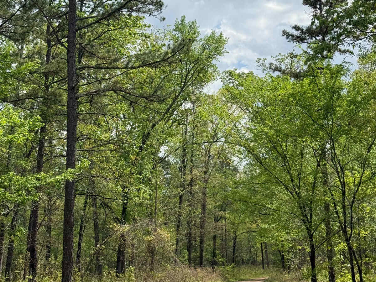 Dam Trail  photo 4