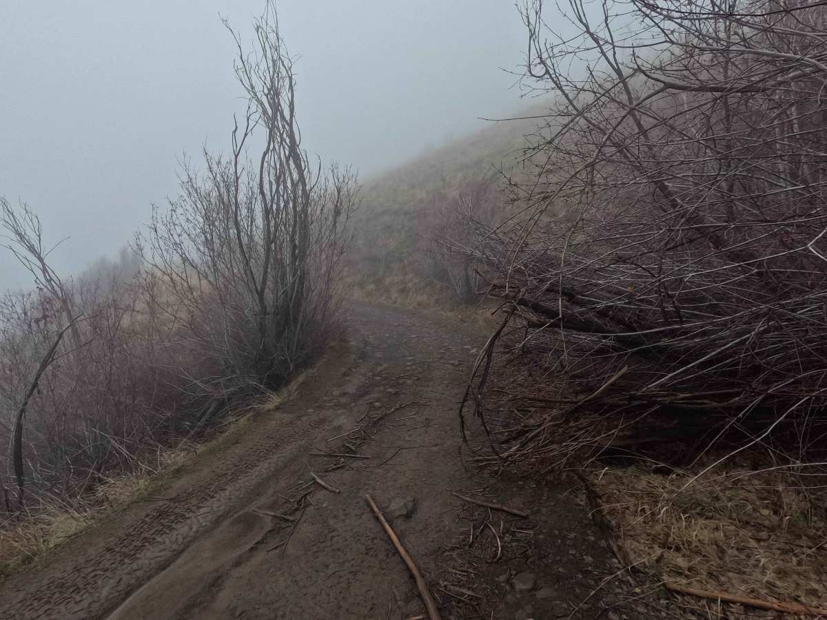 Tarpiscan Road photo 3