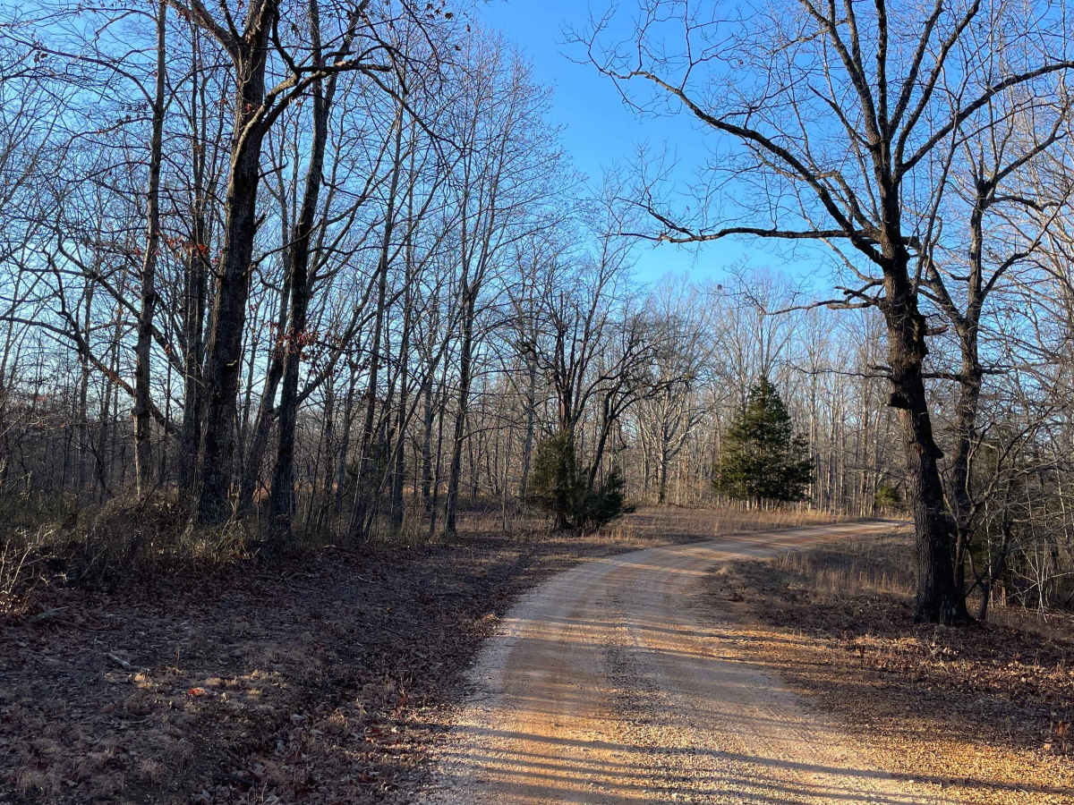 CC Road photo 6