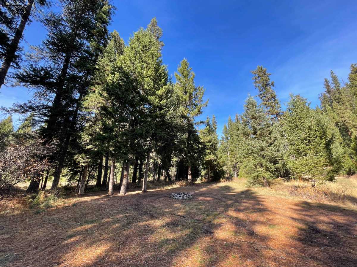 Blue Joint Trailhead Trail photo 3