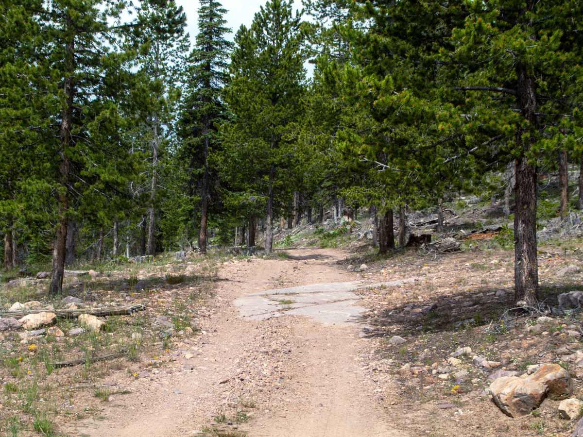 Cobble Creek S14 - FR80949 photo 4