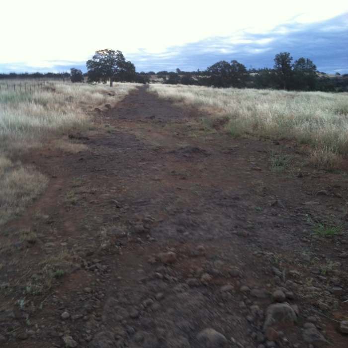Near North Rim Trail
