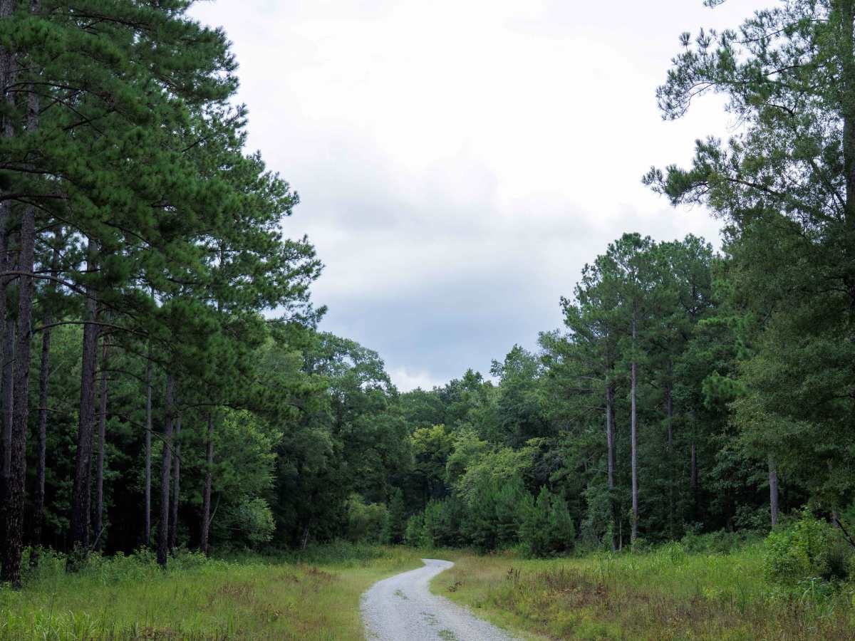 Miller Lake Access photo 2