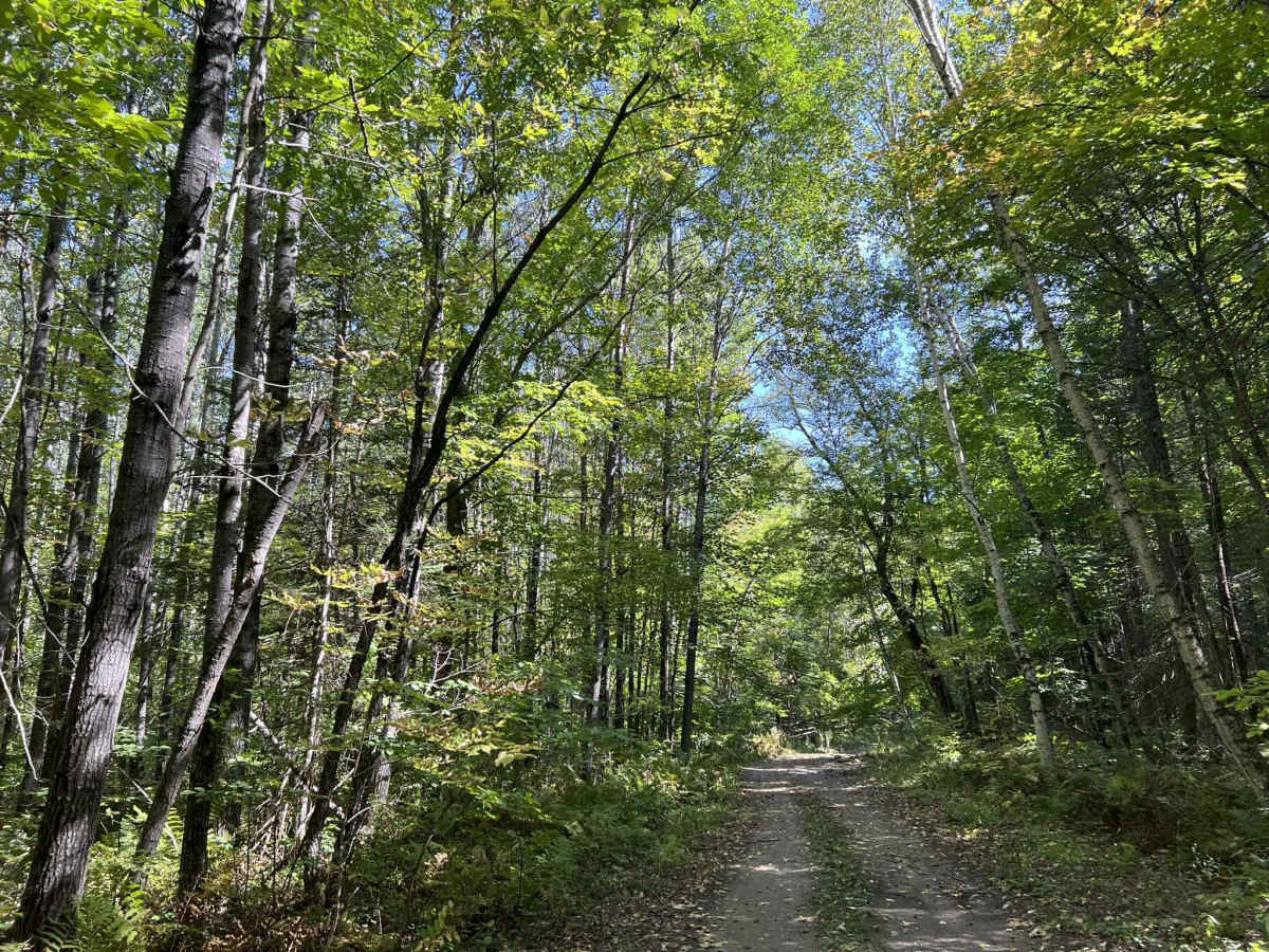 Cloud Lake Road - FS 2142 photo 3