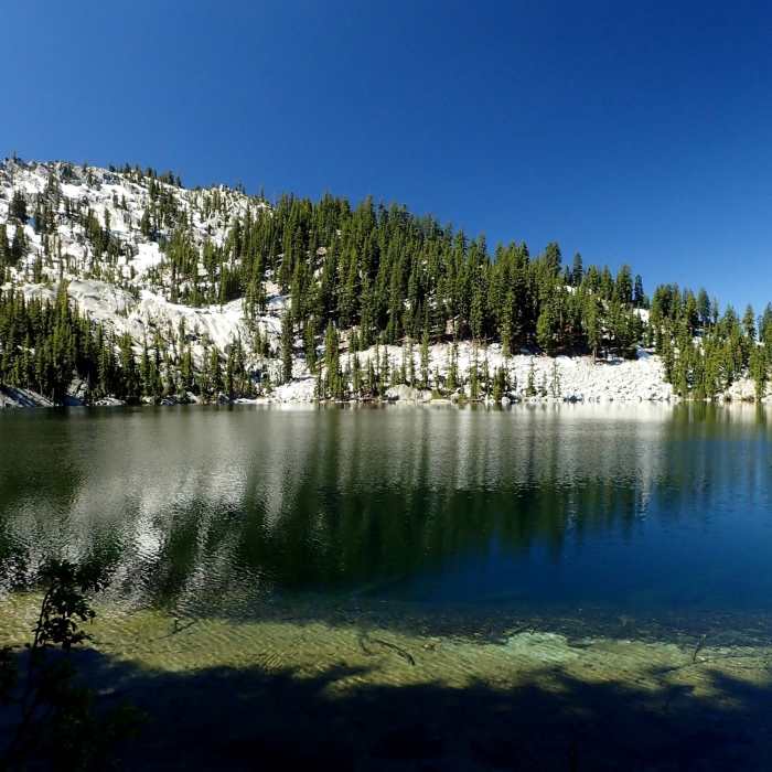 Near Bingham Lake Trail #5583