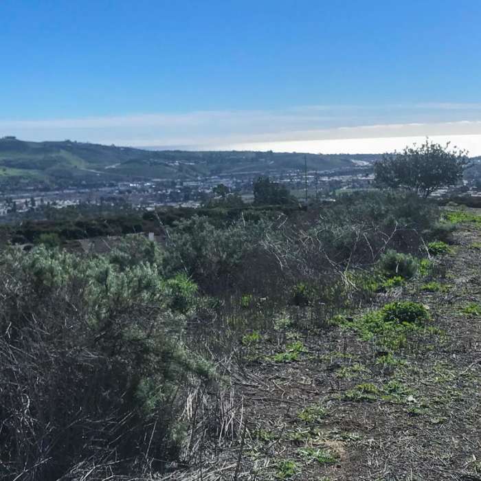 Near Colinas Ridge Trail