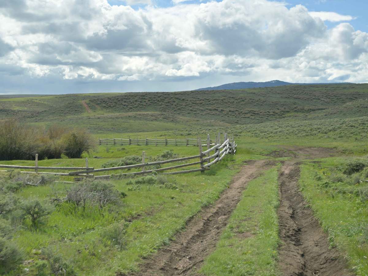 Bull Spring - FS 10578 photo 4