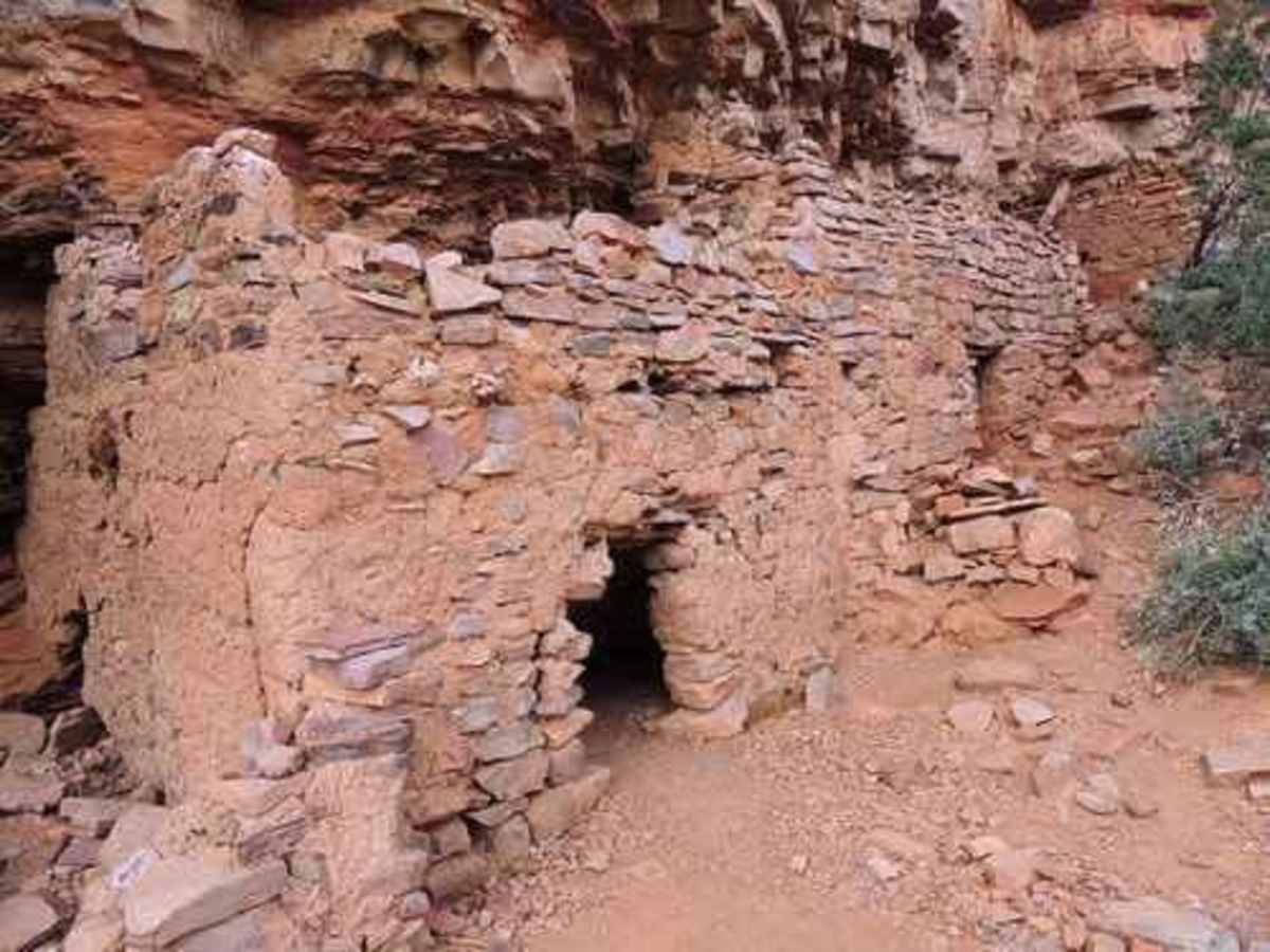 Coon Creek Ruins photo 3