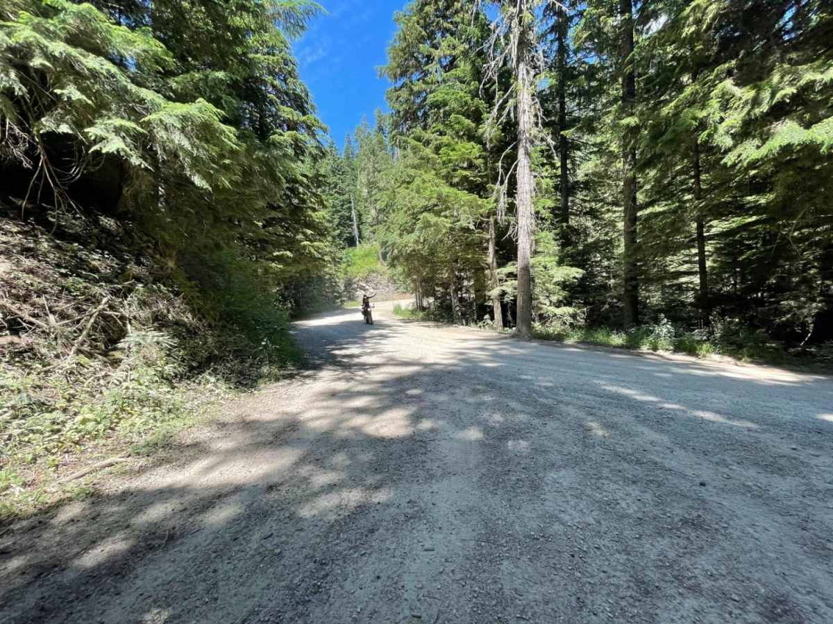 Deception Creek Circle photo 6