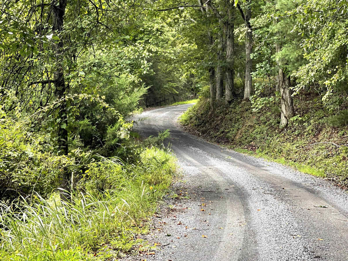 Adair Hill  photo 5