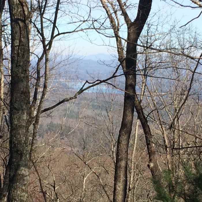 Near Weaver Creek to Rocky Mountain