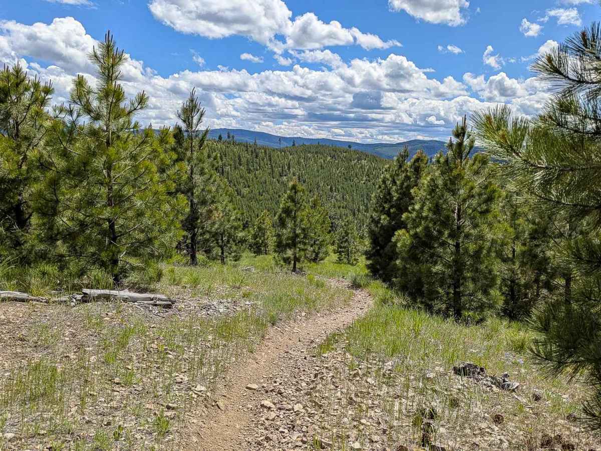 North Fork of Howard Trail 322 photo 3
