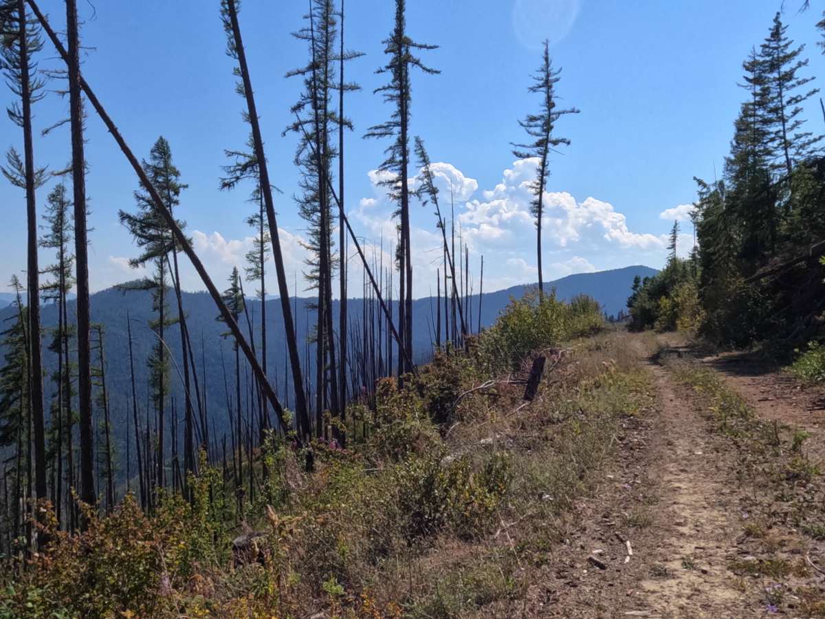 Quartz Ridge photo 5