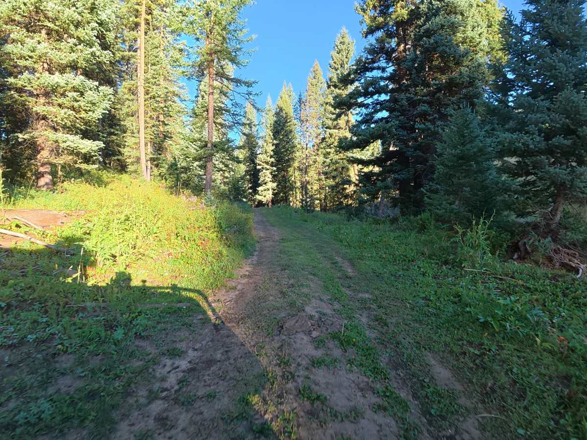 North Elk Cutoff Road - FS 248 photo 3