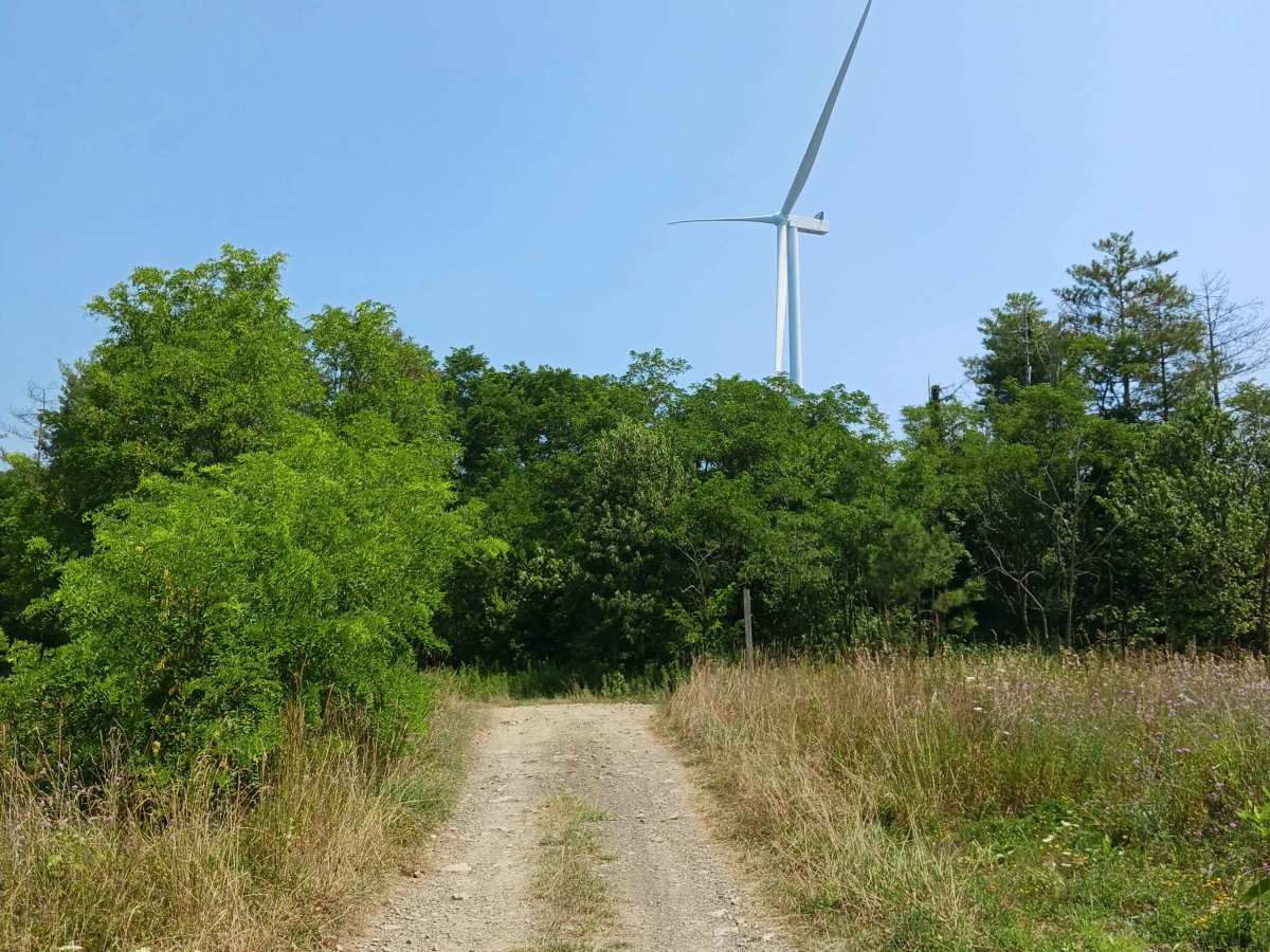 Pine Lane - Rock Run Recreation Area photo 3