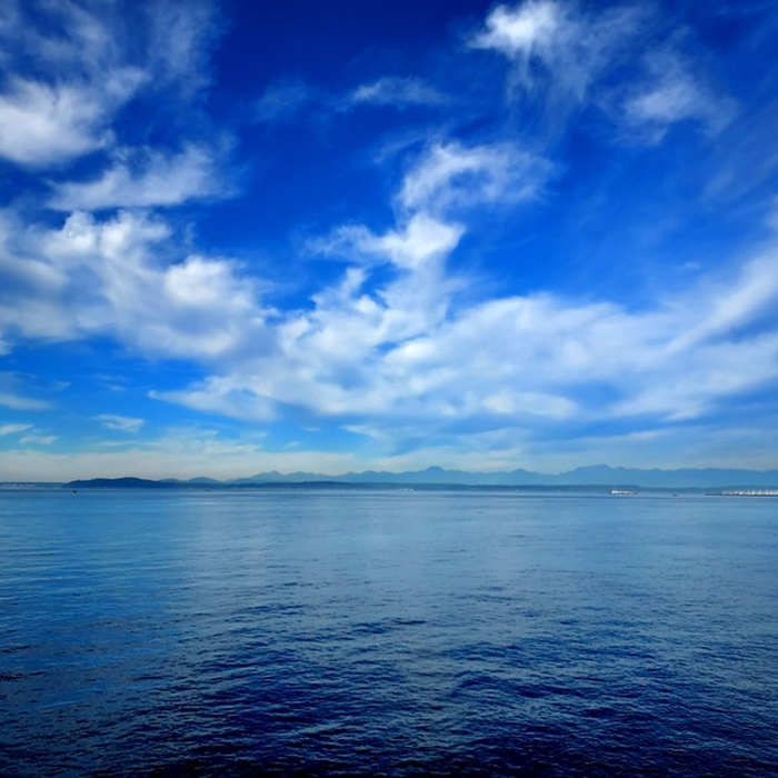 Elliott Bay and the Olympic Mountains from Myrtle Edwards Park. Near Myrtle Edwards Park Trail