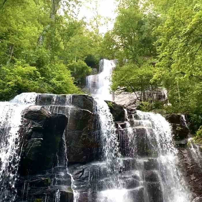 One of the hardest trails we've done and we can't wait to go back! Near Falls Creek Falls