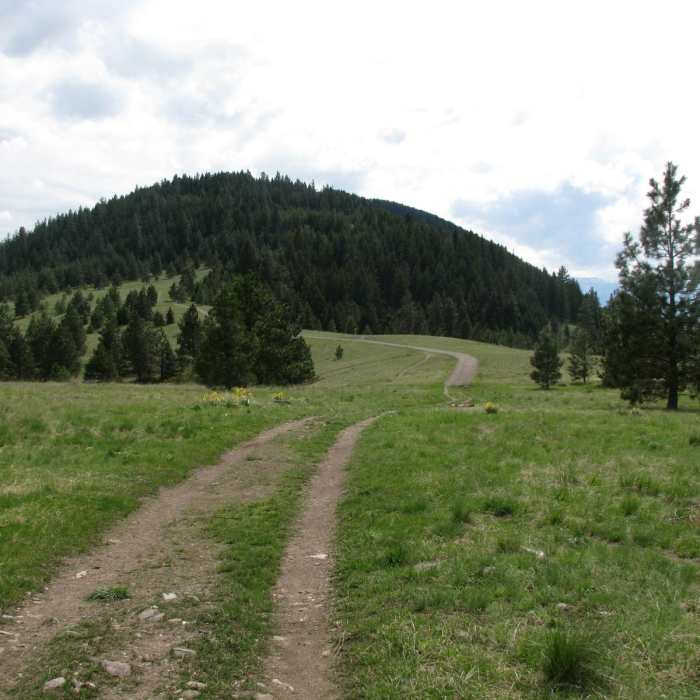 Near Mount Jumbo Saddle Trail
