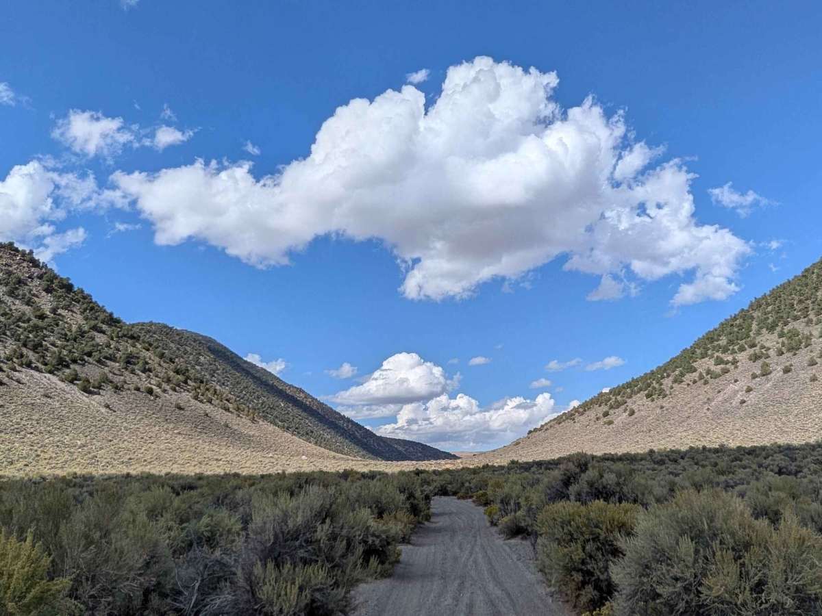 Larkin Lake trail photo