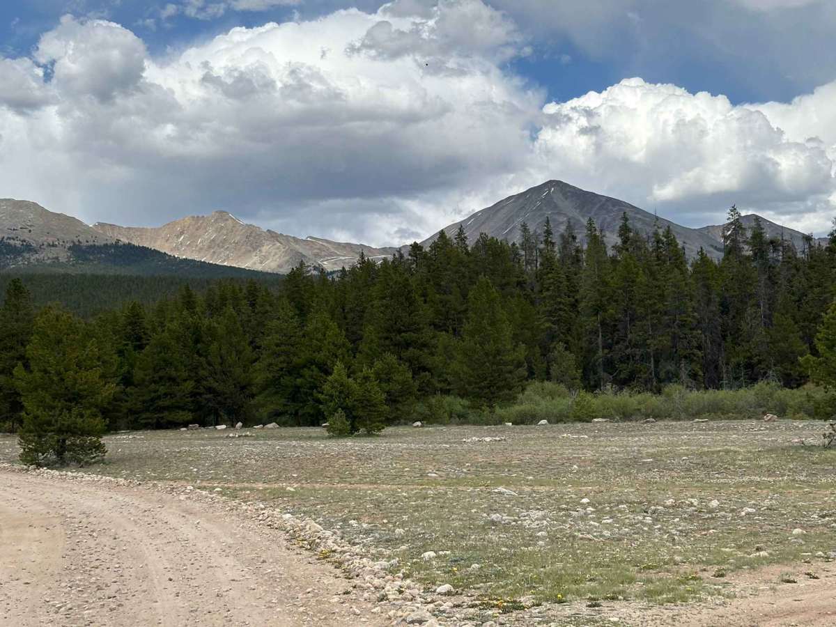 Red Mountain Creek Road photo 4