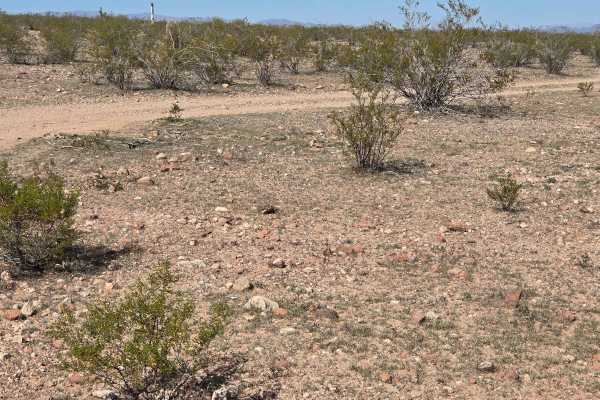 Cut Across the Grassy Plain (Trail 41056/9104)