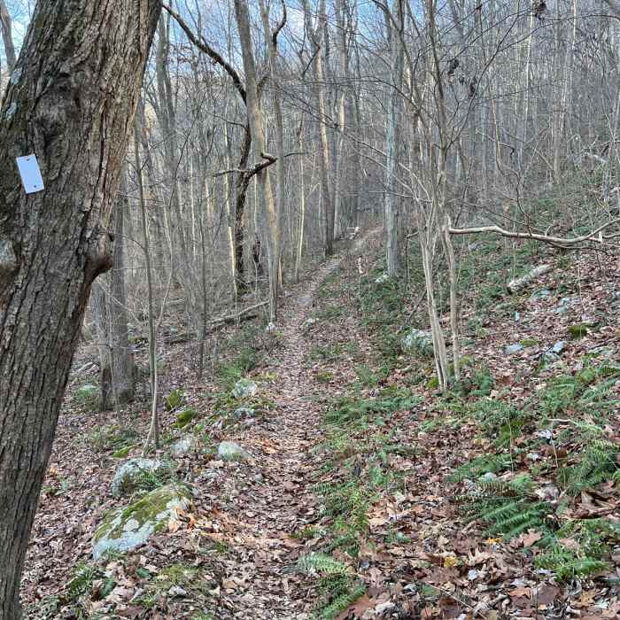 Near Stephens State Park Loop Near Stephens State Park Loop