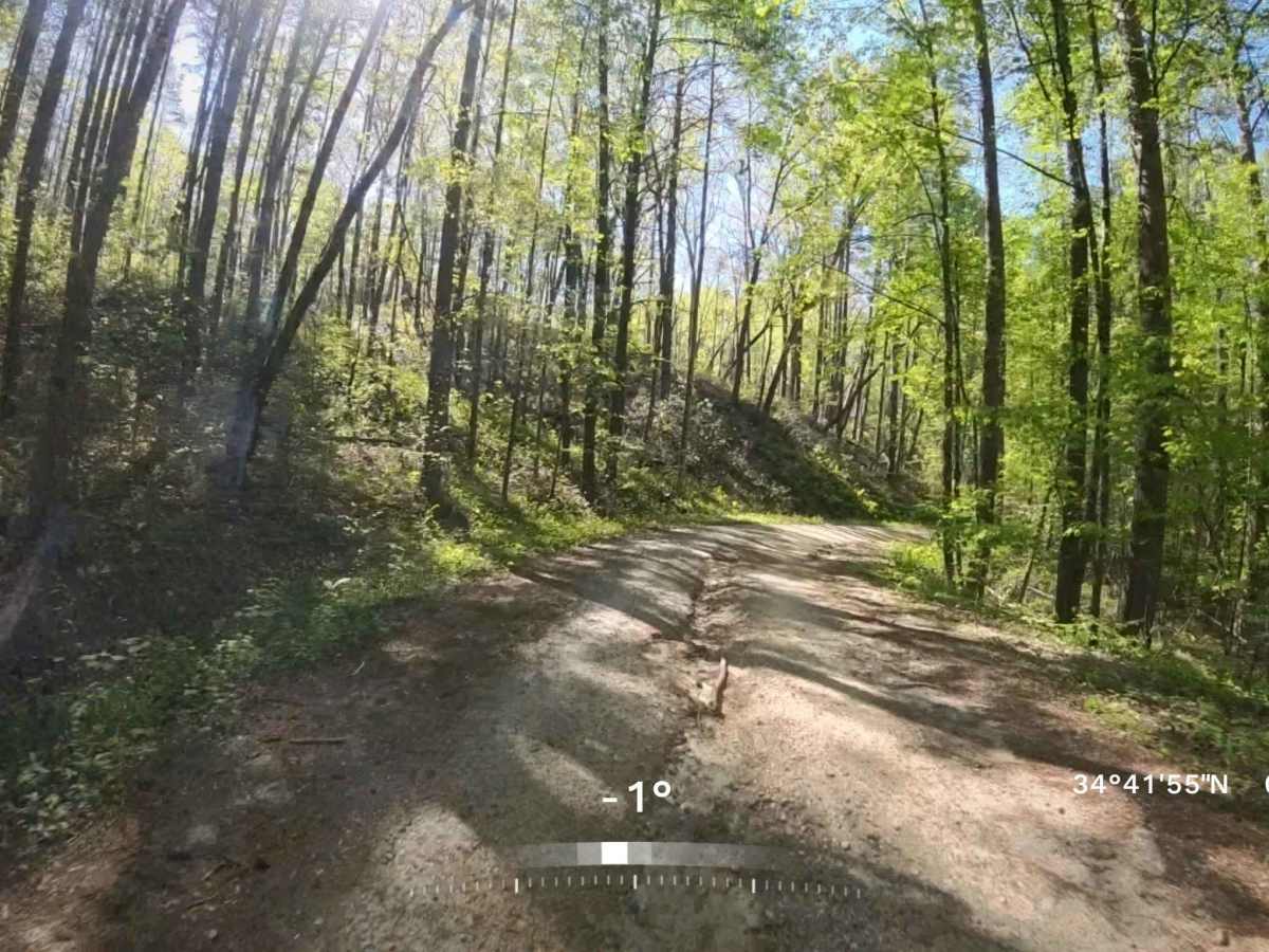 Forest Road 752B photo 3