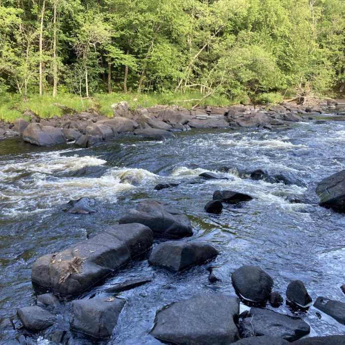 Near Little Falls-Slough Gundy Scenic Area Trail Near Little Falls-Slough Gundy Scenic Area Trail