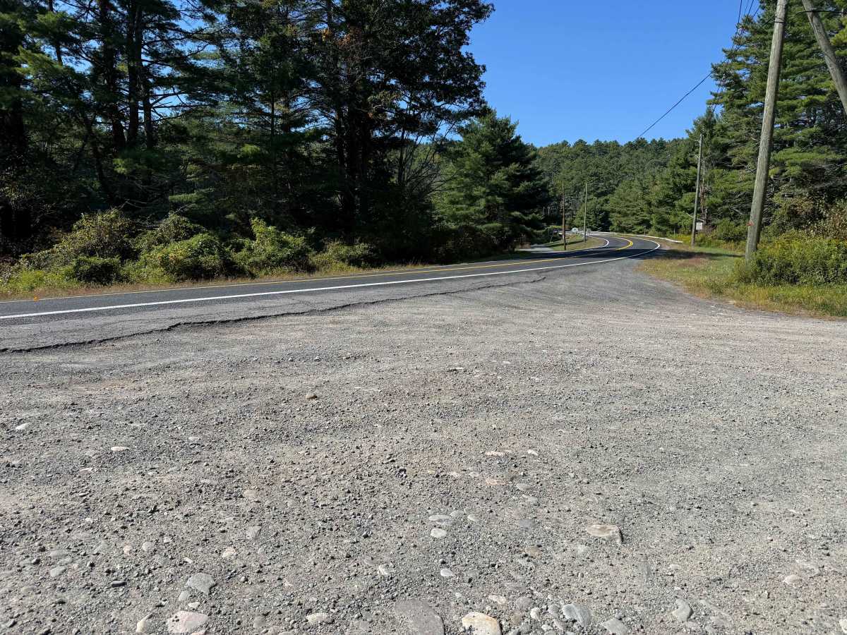 Mongaup River Road photo 2