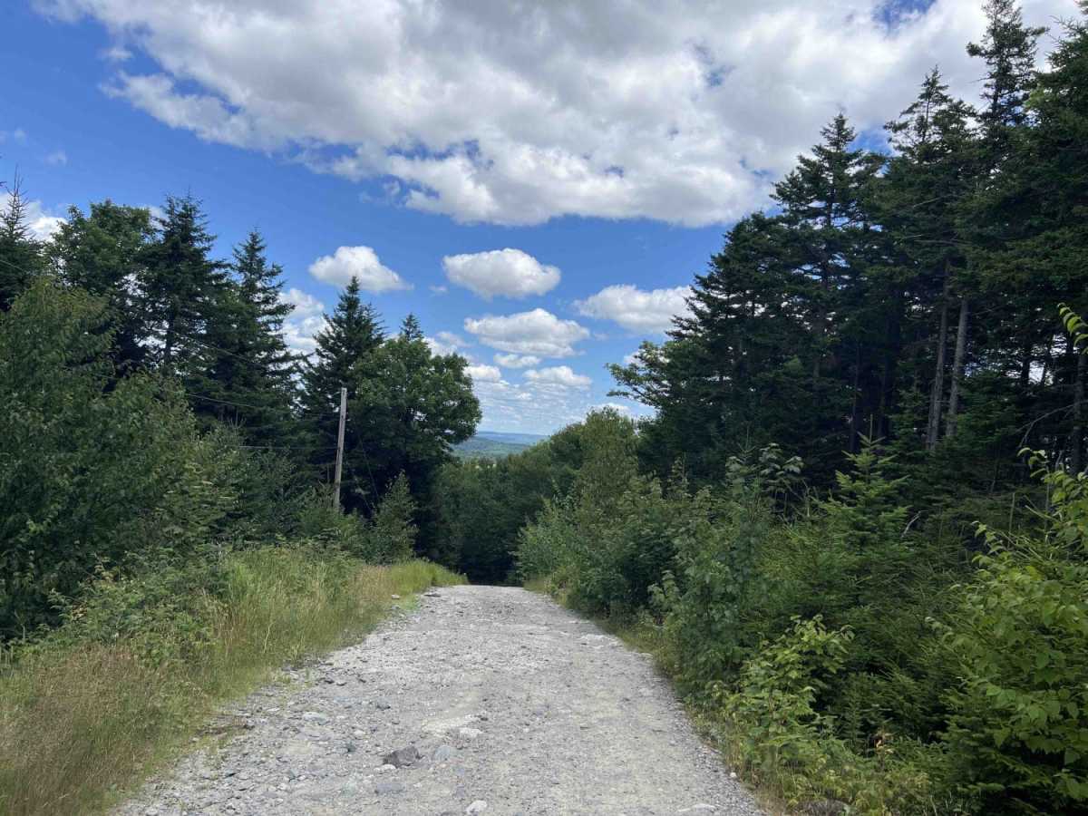 Bald Mountain Trail photo 6